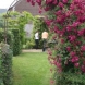 Agrandir l'image