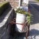 Agrandir l'image