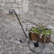 Agrandir l'image