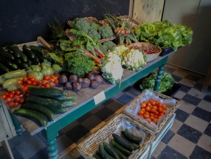 culture bio,légumes,jardin bio hélène schiepers,schiepers antheit,vinalmont